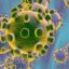 Защо свинският грип премина по-леко от коронавируса