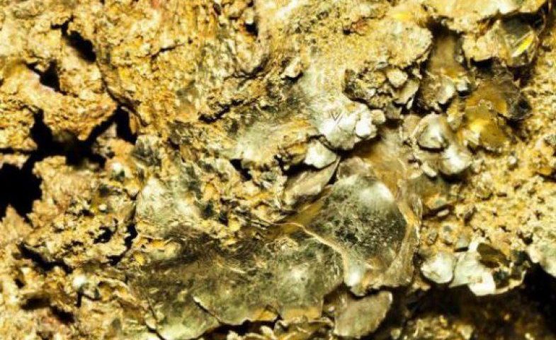 Откриха тонове златни залежи на сръбско-българската граница – О Новини