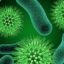 Коронавирус: ръст на заразените в някои страни по света