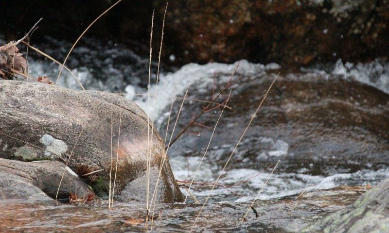 Розоварната в Слатина излива джибри от рози и замърсява водата в местното дере