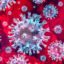 Две жени от ВМЗ заразени с коронавирус