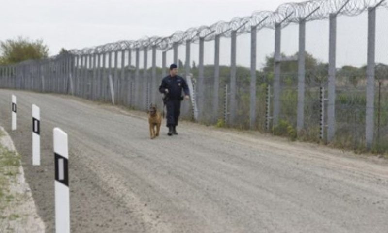 Сърбия вдига ограда по границата с България