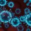 Как се разпространява коронавирусът – отговорът на вирусолог