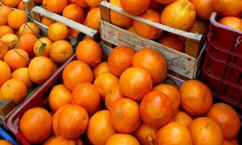 Забранен химикал и пестициди в портокали на пазара у нас