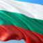 Запалиха българското знаме на карнавал в Северна Македония (ВИДЕО)