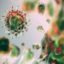 Как се променя коронавирусът, крие ли заплаха
