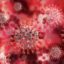 Нови разкрития водят до съмнения за изкуствен произход на вируса