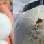 Градушка с големина на ябълка потроши самолет във въздуха (СНИМКИ)