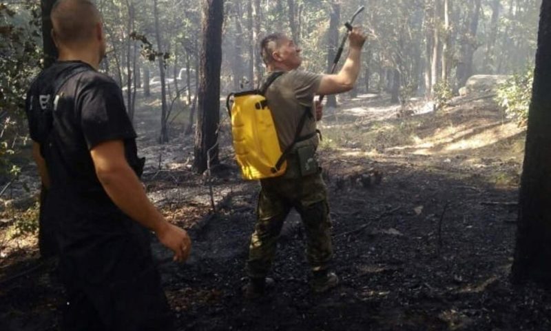 Добрата новина: Локализираха пожара над Розино