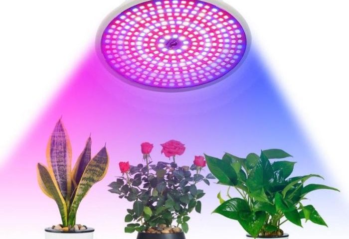 Лед лампа за растения – как да намерите подходяща?